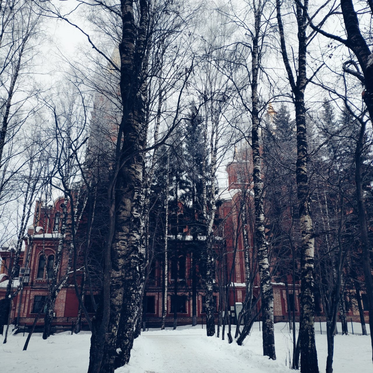 Фото дня в Сыктывкаре: зимний сквер у подножия храма