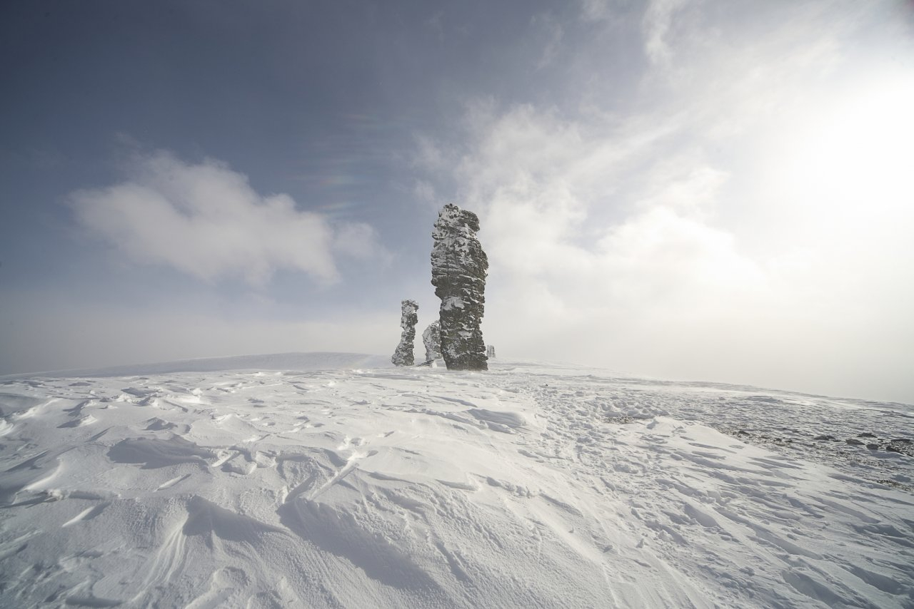Итоги недели в Коми: волк-одиночка, задержание главы МВД и призраки