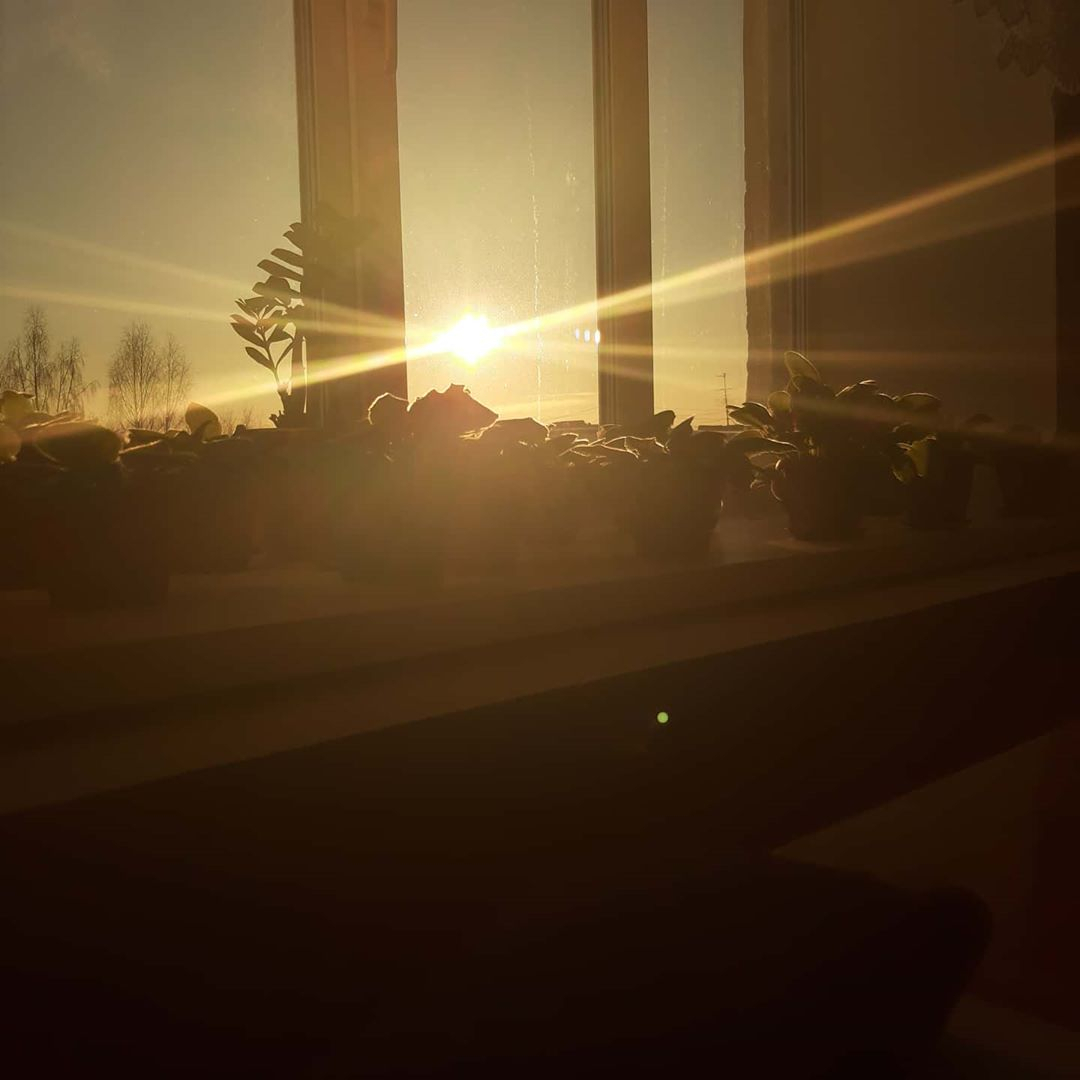 Фото дня в Сыктывкаре: домашний сад в лучах утреннего солнца