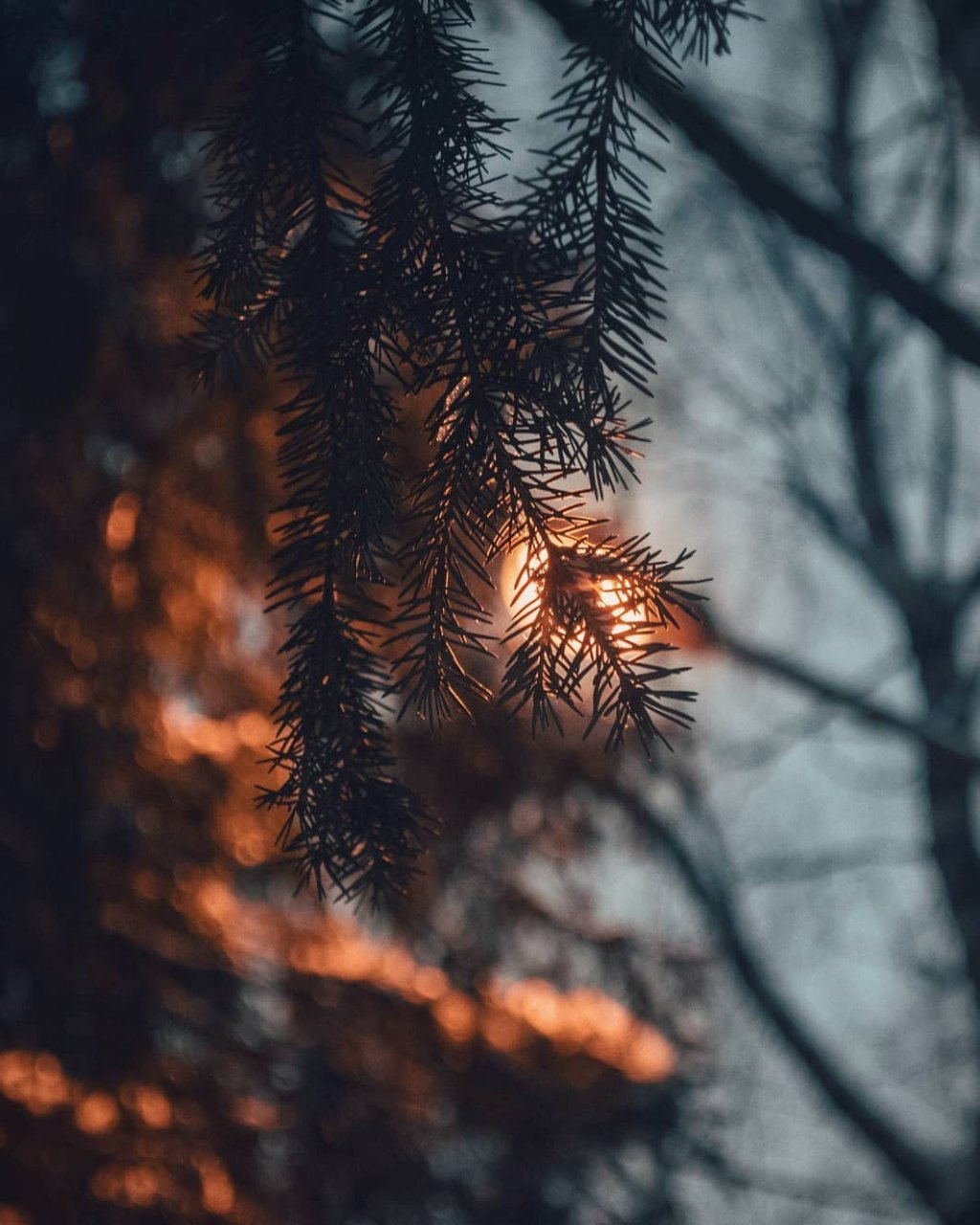 Фото дня от сыктывкарца: необычная красота в обычных вещах