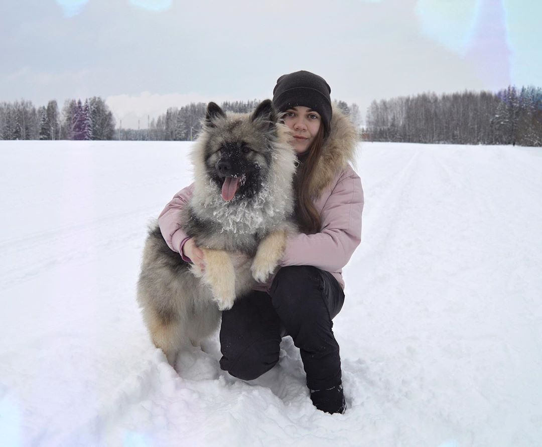 Фото дня в Сыктывкаре: лохматый восторг для прохожих