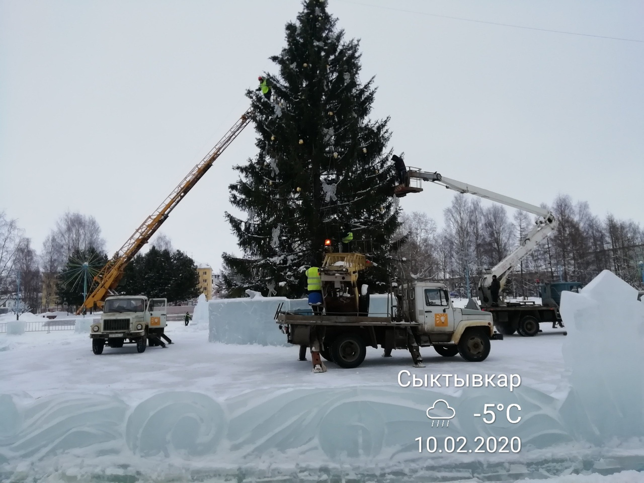В Сыктывкаре убирают главную елку города