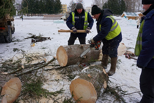 Выяснилось, куда денут главную новогоднюю ель Сыктывкара