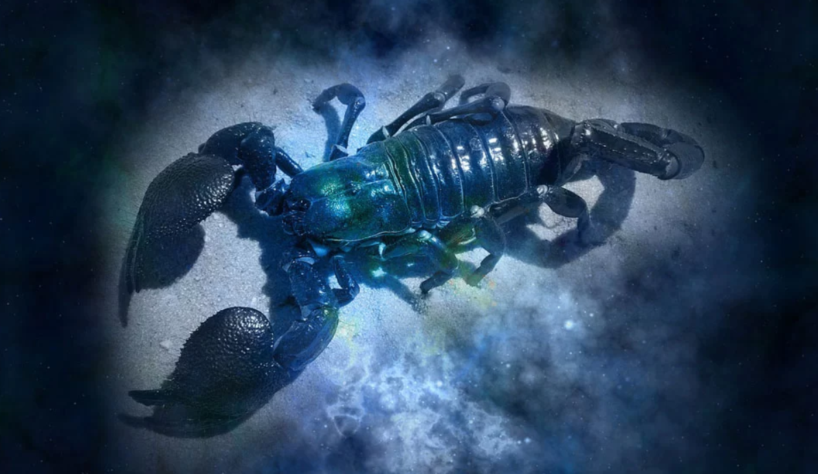 Гороскоп на 17 февраля: Тельцов ждут деловые предложения, а Скорпионов - конфликты с конкурентами