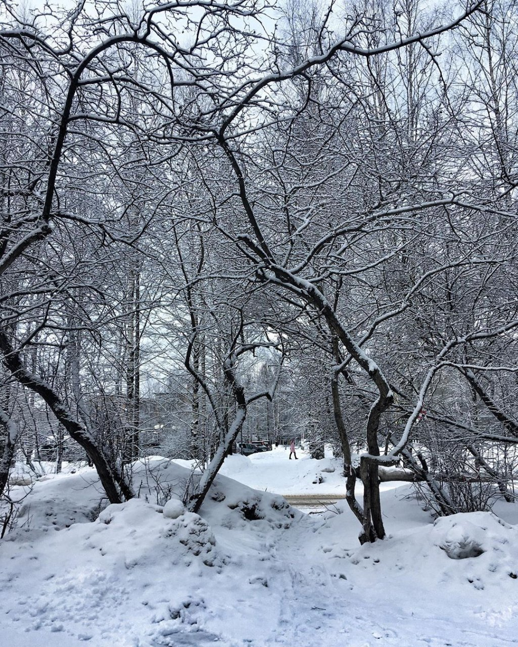 Фото дня в Сыктывкаре: последние дни зимы на улицах города