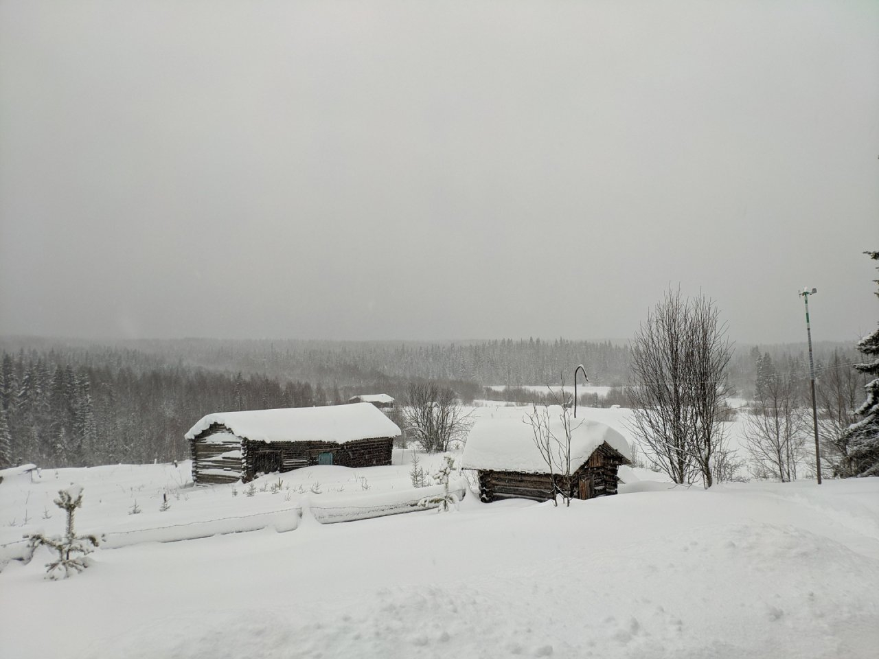 В Коми осудили отшельника, который соорудил и незаконно продал ружье