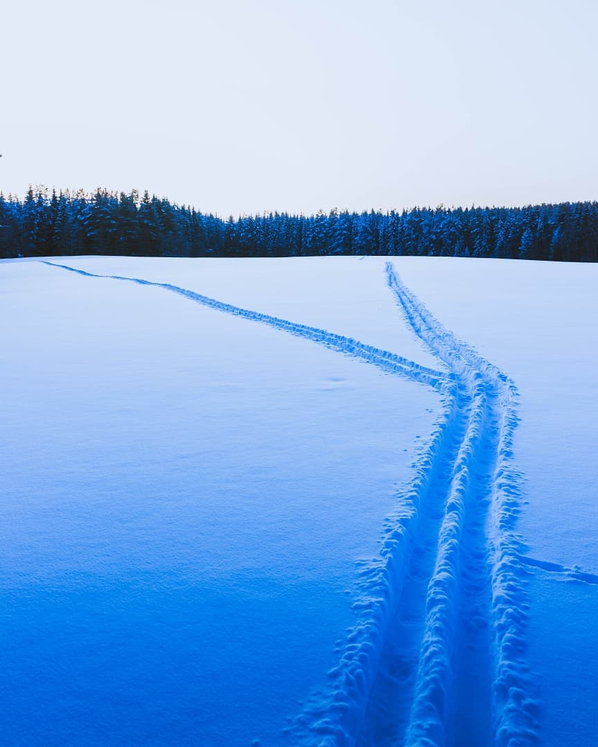 Фото дня в Сыктывкаре: холодные оттенки уходящей зимы