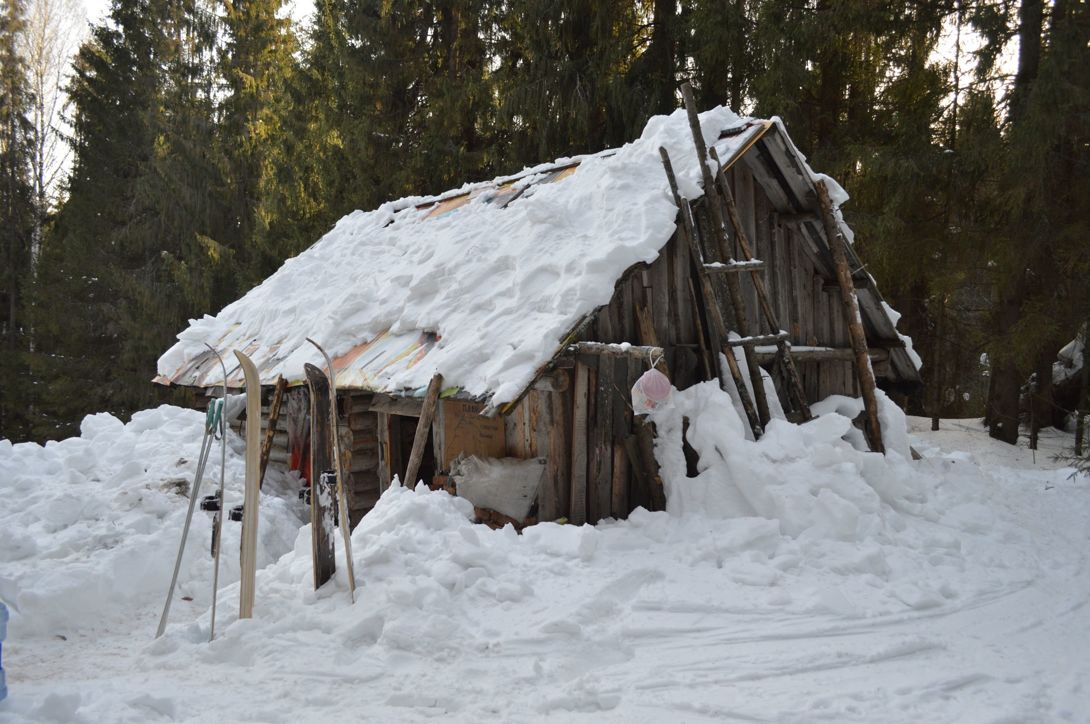 Итоги недели в Коми: секреты отшельника, звездный скандал и смерть на ровном месте