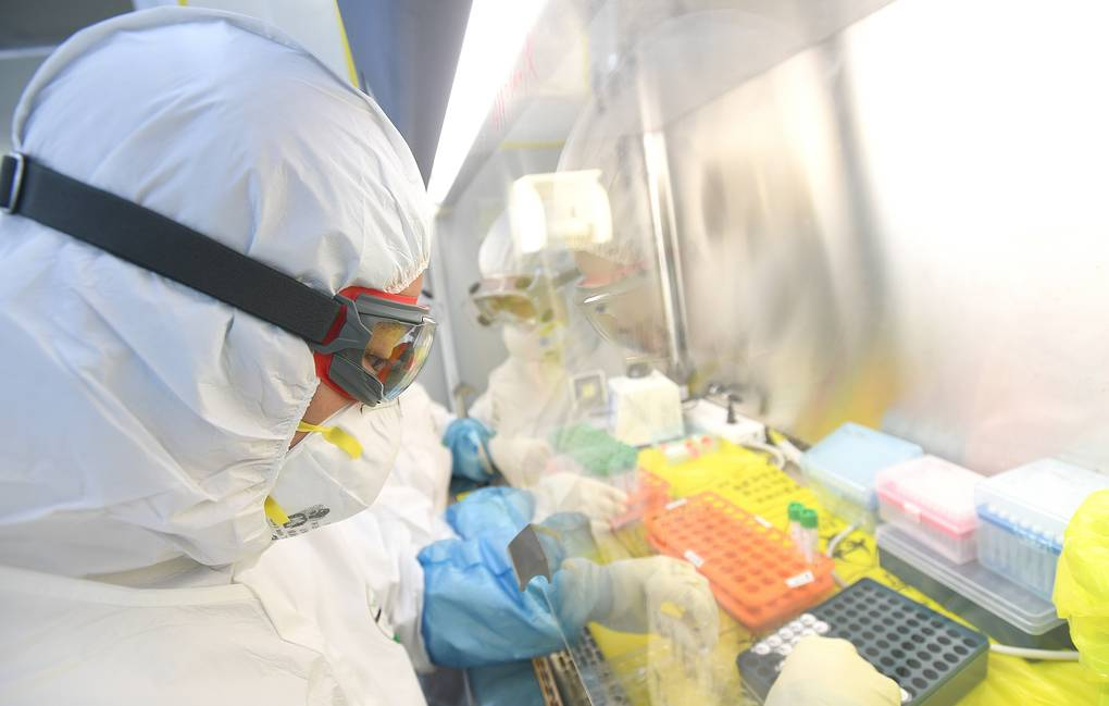 Коронавирус: что это такое, откуда он взялся и как от него защититься