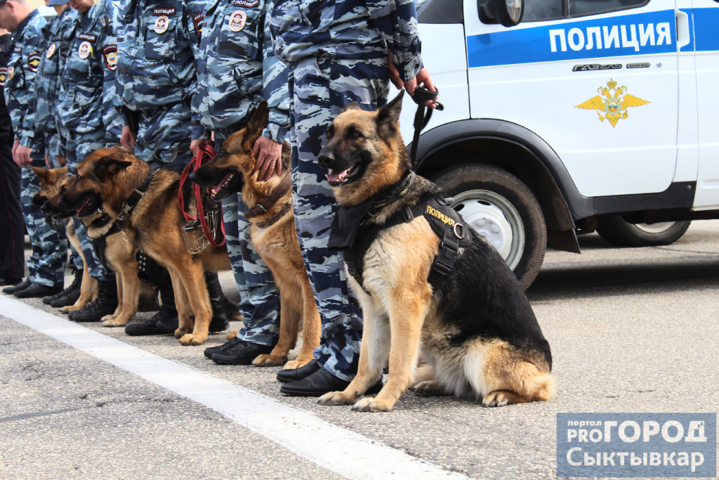 В Коми создадут мобильные бригады, которые будут проверять заведения на период карантина