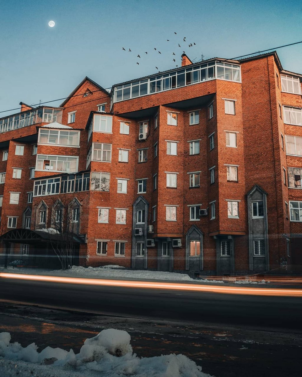 Фото дня в Сыктывкаре: стаи птиц над крышами домов