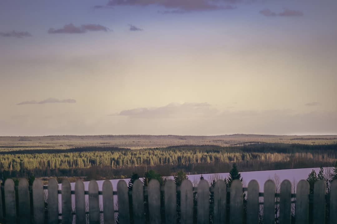 Фото дня в Сыктывкаре: воспоминания о теплом лете