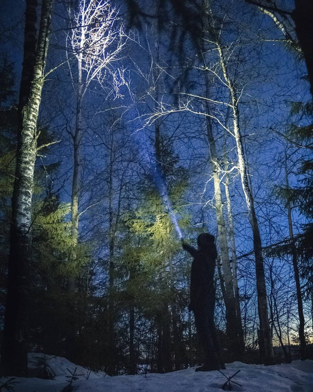 Фото дня в Сыктывкаре: завораживающие цвета ночи
