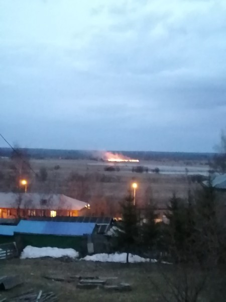 В селе под Сыктывкаром вспыхнуло поле