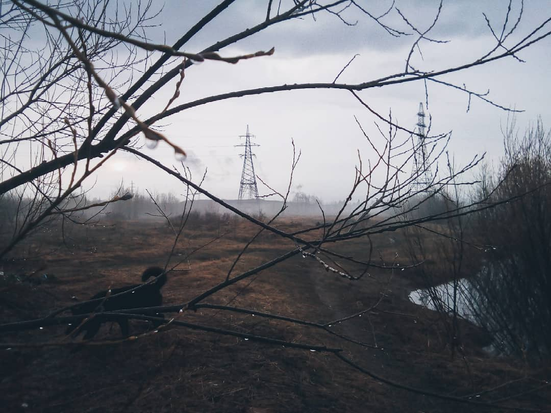 Фото дня в Сыктывкаре: тайны густых туманов