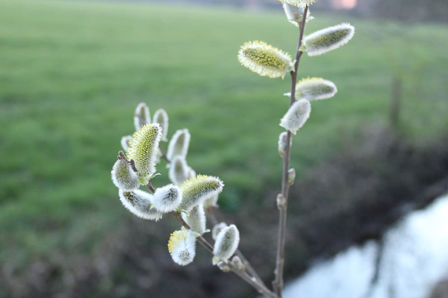Погода в Сыктывкаре на 7 мая: жара, дождь и порывистый ветер