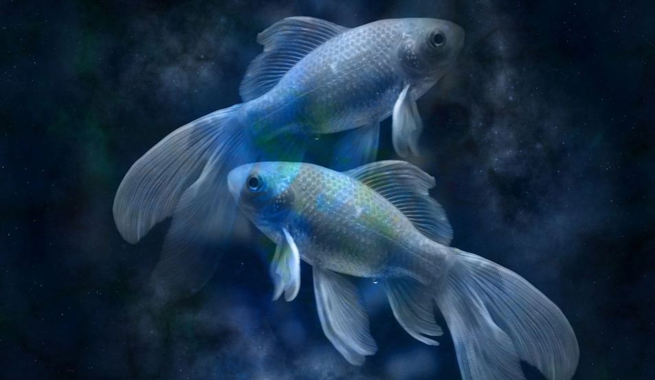 Гороскоп на 12 мая: Рыбам нужно беречь здоровье, а Овнам - контролировать эмоции