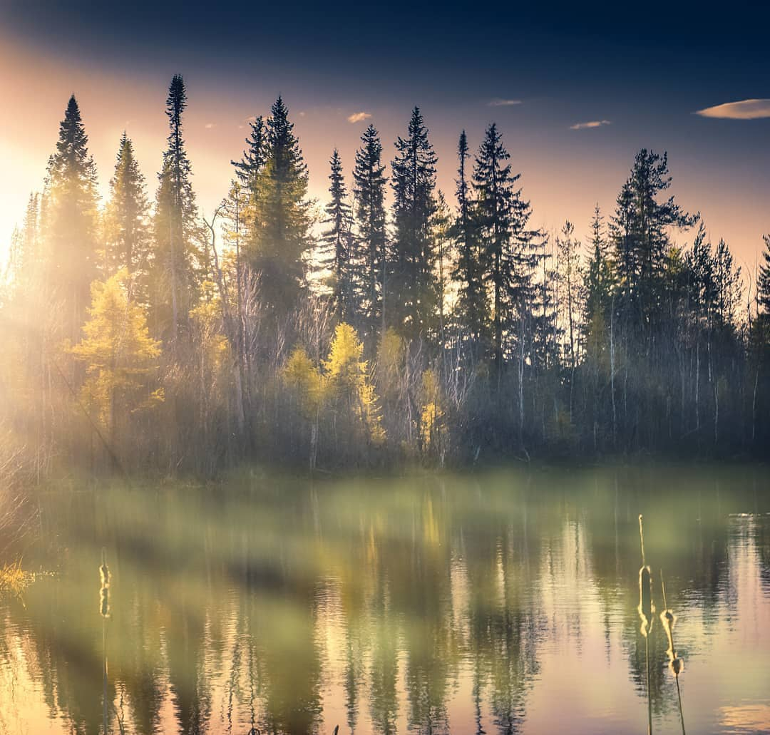 Фото дня от сыктывкарца: красота природы Коми ⠀