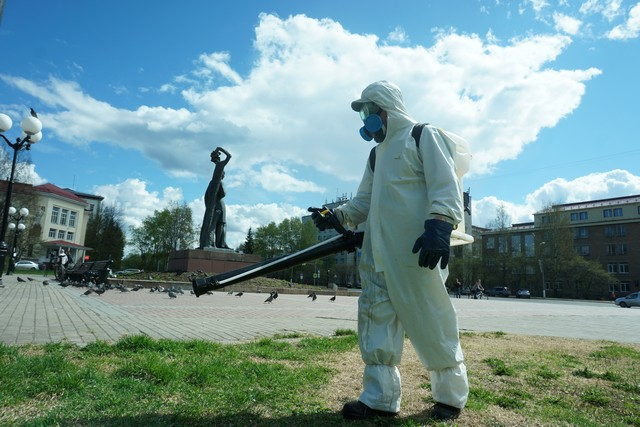 Сыктывкар начали обрабатывать от клещей