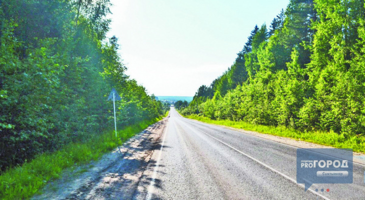 Погода в Сыктывкаре на 20 мая: очередной солнечный день и небольшие осадки