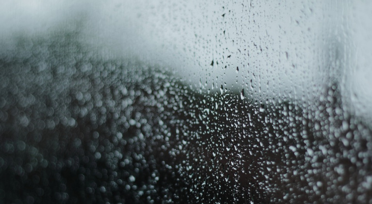 Погода в Сыктывкаре на 30 мая: прохлада, северный ветер и дождь