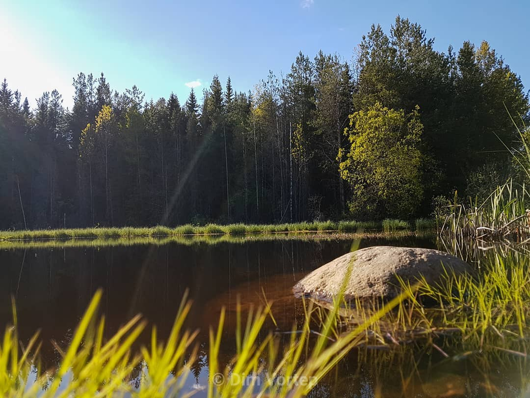 Фото дня от сыктывкарца: «Извините, а Аленушку не видели?»