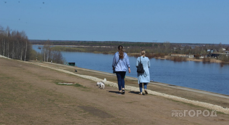 В Сыктывкаре изменят правила выгула собак