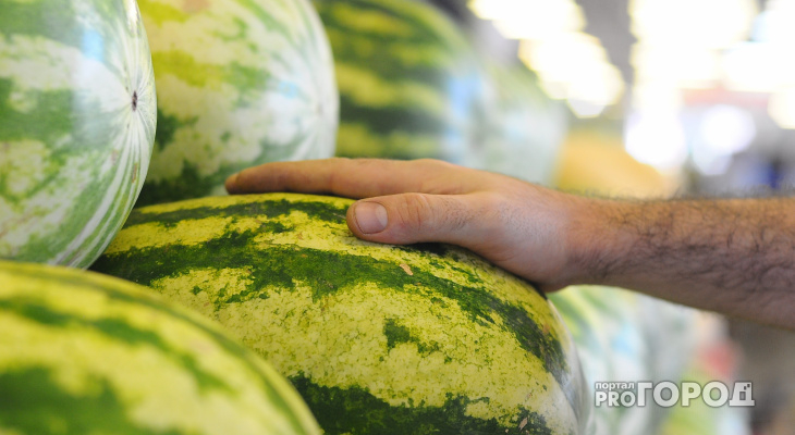 Эксперты рассказали, как определить арбуз, напичканный химией