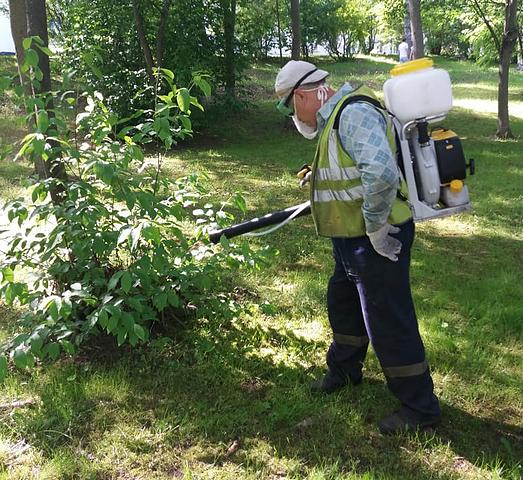 «Эффект ProГорода»: после публикации о клещах в Кировском парке провели повторную обработку