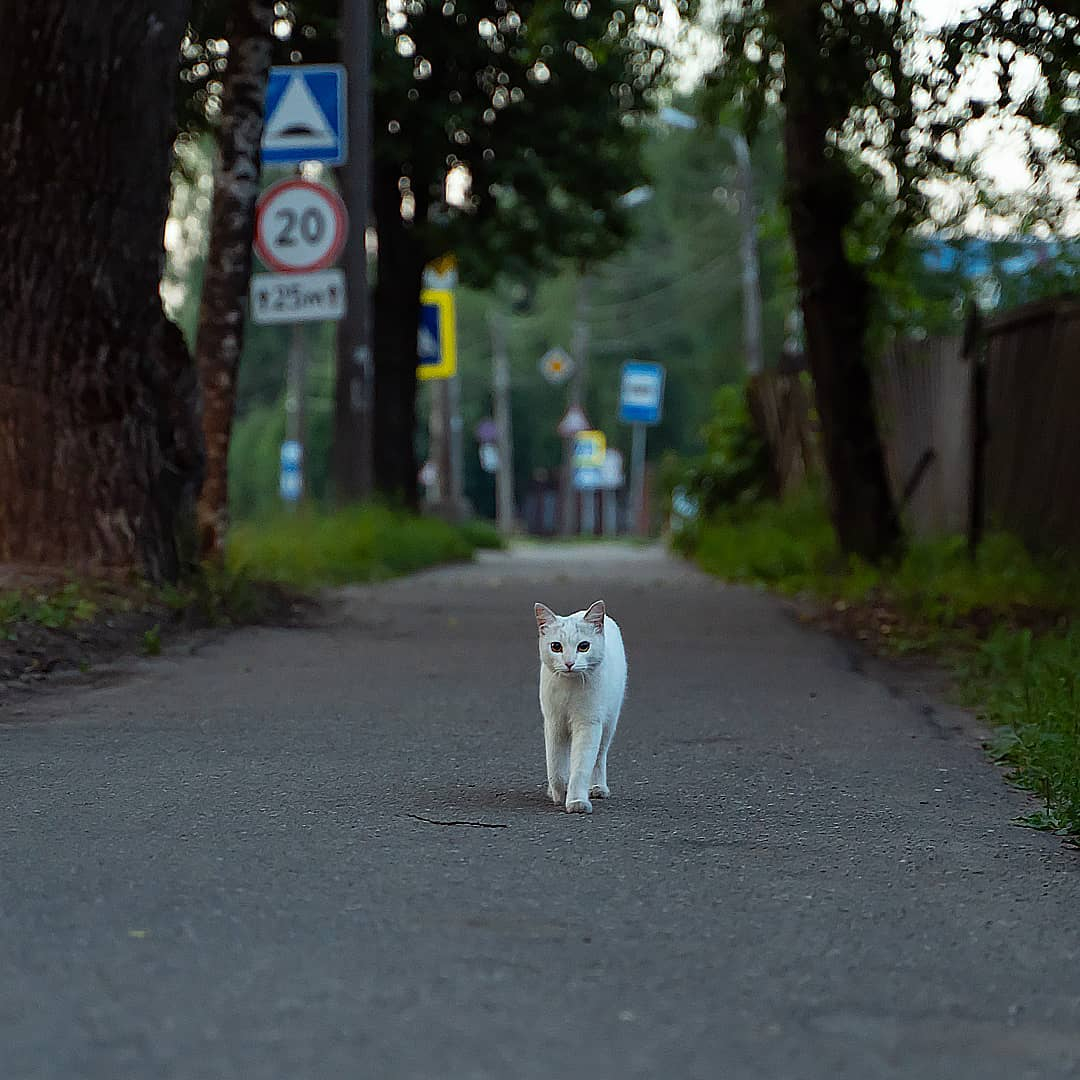Фото дня в Сыктывкаре: кусочек лета посреди зимы