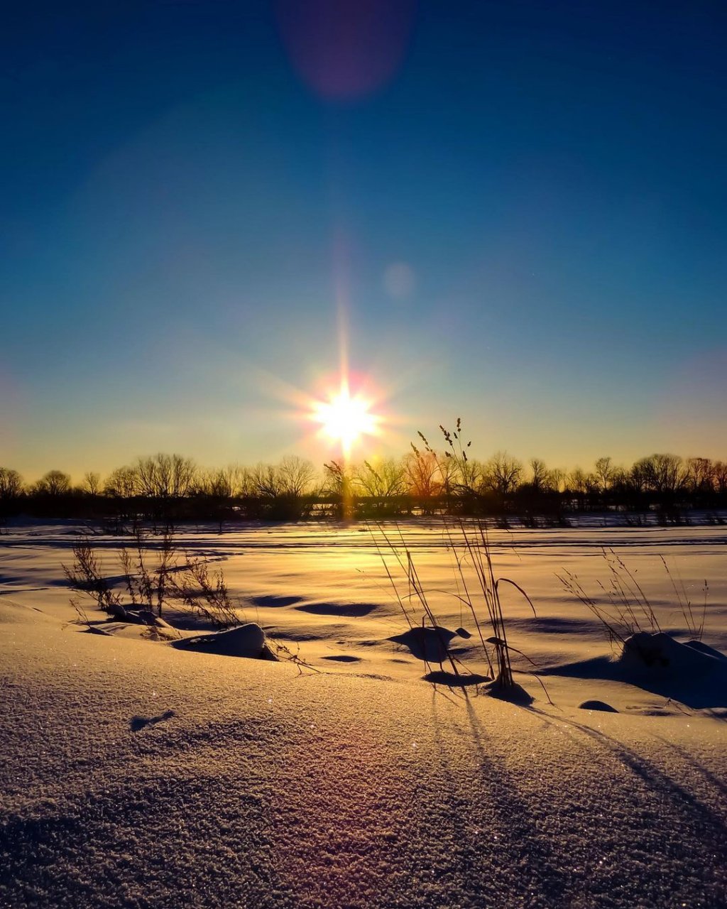 Фото дня в Сыктывкаре: морозное зимнее солнышко