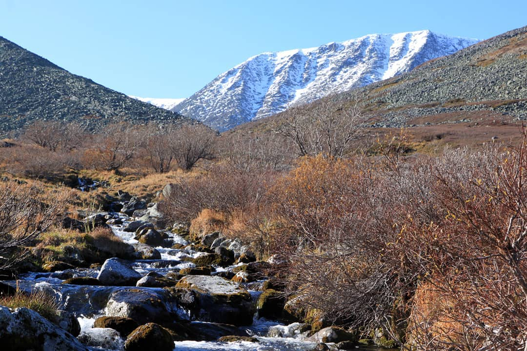 Фото дня от сыктывкарца: дикие просторы Урала