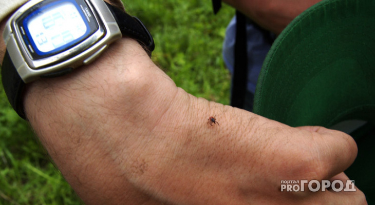 В Коми началась вакцинация от клещевого энцефалита