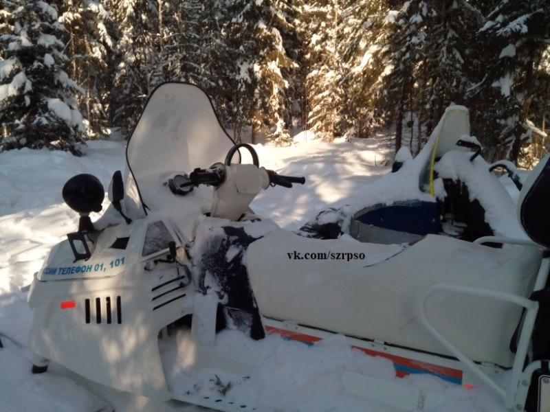 В лесу одного из районов Коми нашли тело человека