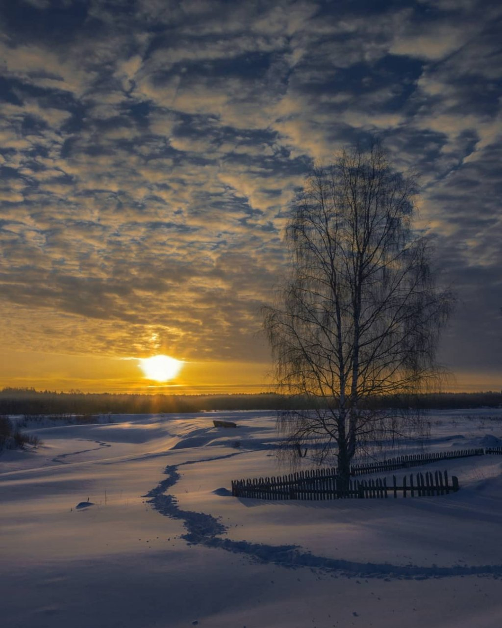 Фото дня от сыктывкарца: февральское утро