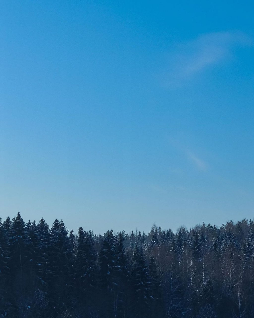 Фото дня: чистое морозное небо над Сыктывкаром