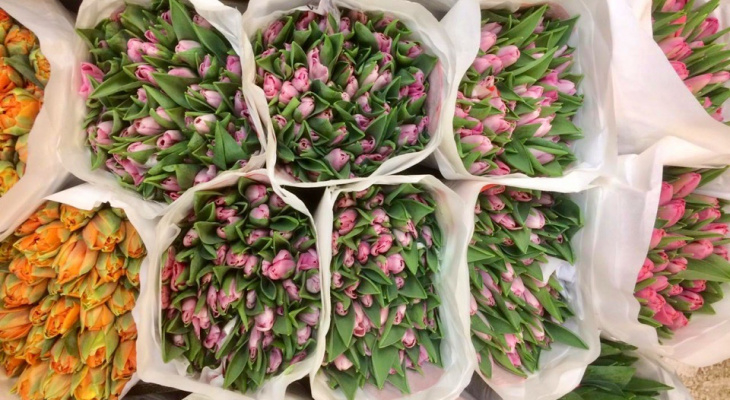 В преддверии 8 марта рекордно дорожают цветы