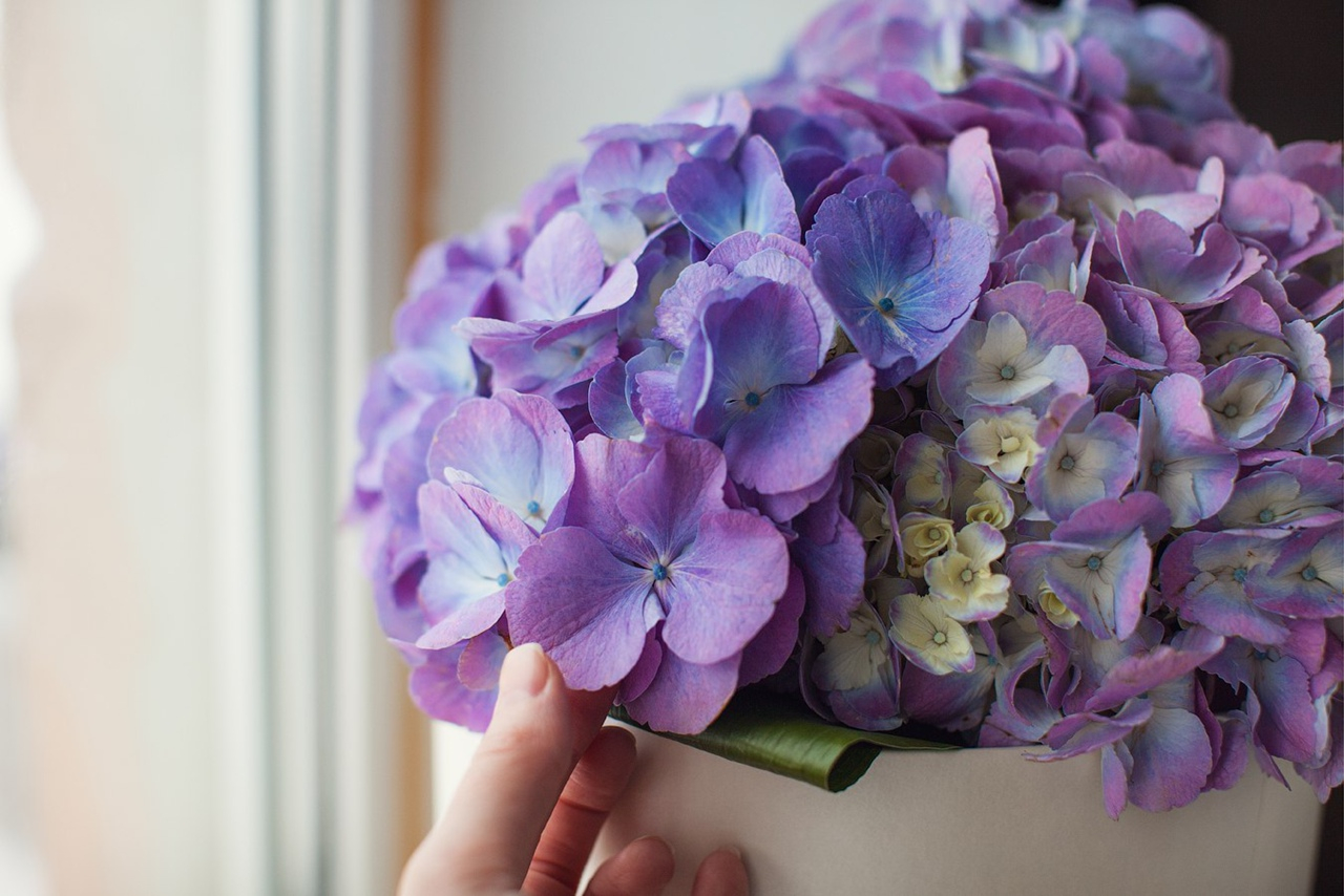 Врачи назвали лучшие цветы к 8 марта с точки зрения медицины