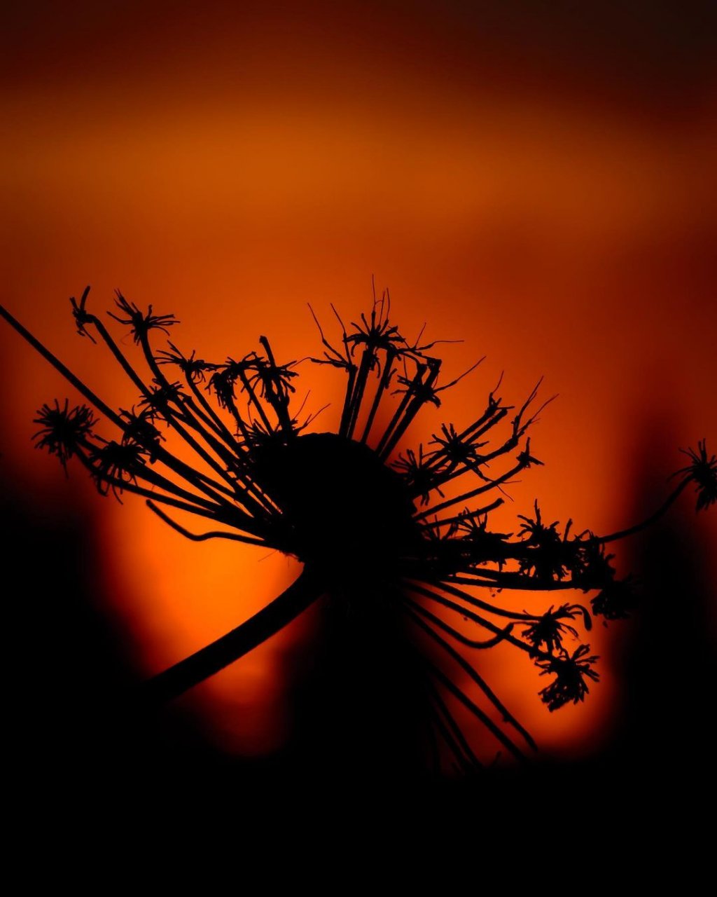 Фото дня в Сыктывкаре: последние минуты заката