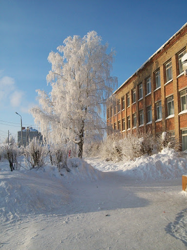 В Коми «заминировали» еще одну школу