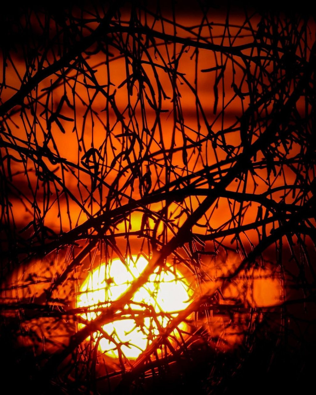 Фото дня в Сыктывкаре: ах, эта магия заката