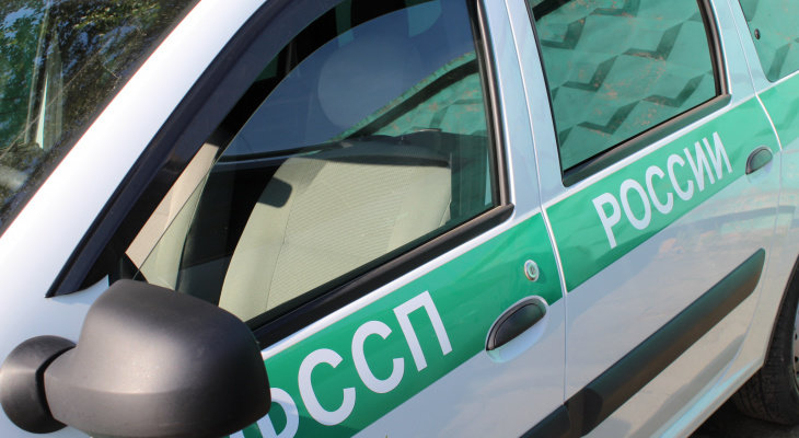 Жительница Коми расцарапала лицо приставу