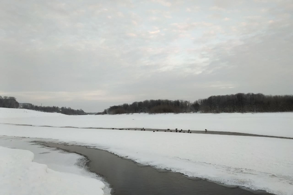 В Сыктывкаре утонул человек