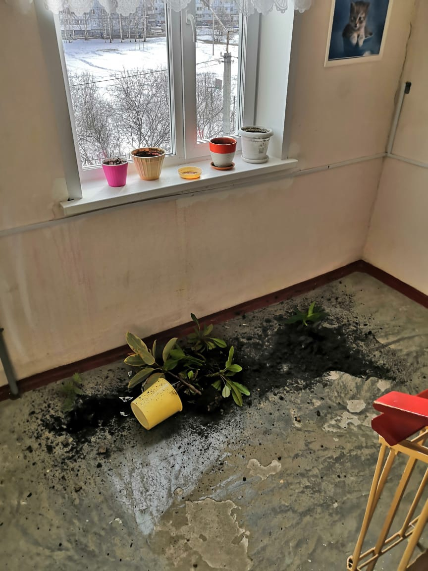 Подъездный террор: сыктывкарцев достает сосед-вандал