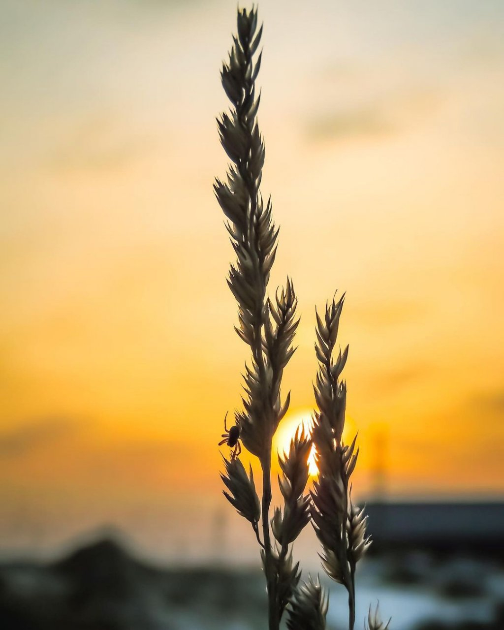 Фото дня в Сыктывкаре: теплая атмосфера весенних закатов