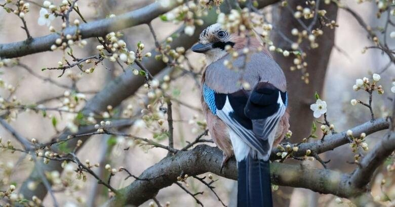 В Сыктывкаре снова теплеет: синоптики пообещали много солнца и ясного неба