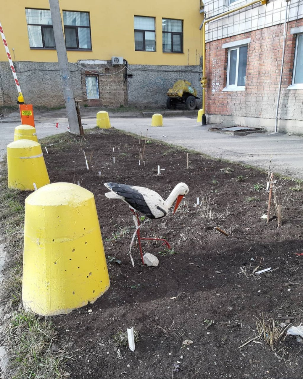 Фото дня в Сыктывкаре: «аисты» прилетели
