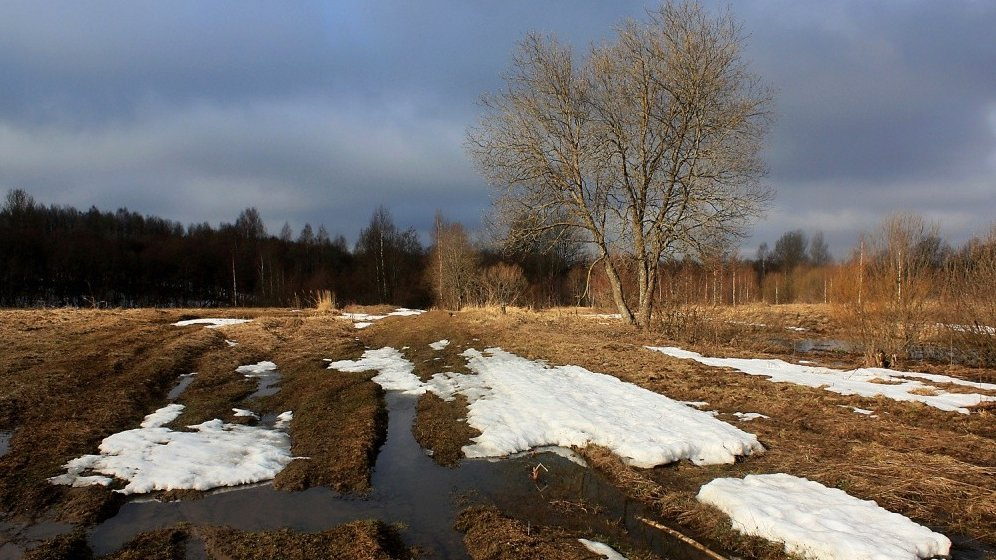 Погода в Сыктывкаре на 24 апреля: солнечная суббота