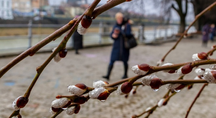 Погода в Сыктывкаре на 28 апреля: дожди и ветер