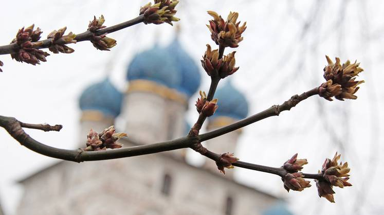 Балканский циклон: синоптики дали прогноз на грядущую неделю в Коми